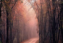 维戈塞尔塔客场-胜麦德林，豪取斩获首胜