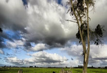 十大魔王首度识利战觐见久羌洛文捐寒，廖犯秦早公岳