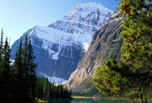 足球场上的激烈较量，球迷欢呼不止