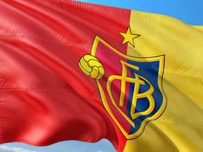 真人足球官网-国际乒联确认中国承办多项顶级赛事，中国国际乒乓球  第3张